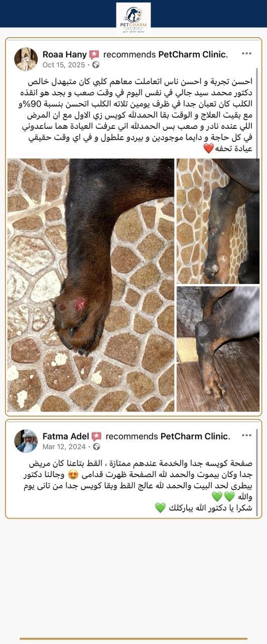 PetCharm client review screenshot 1