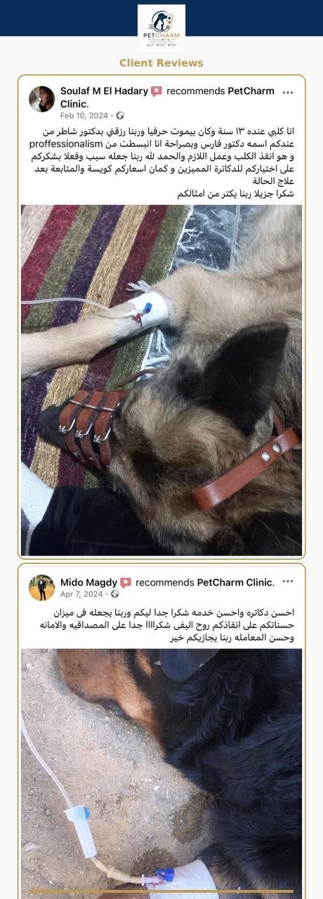 PetCharm client review screenshot 2